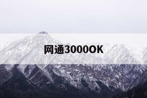 网通3000OK