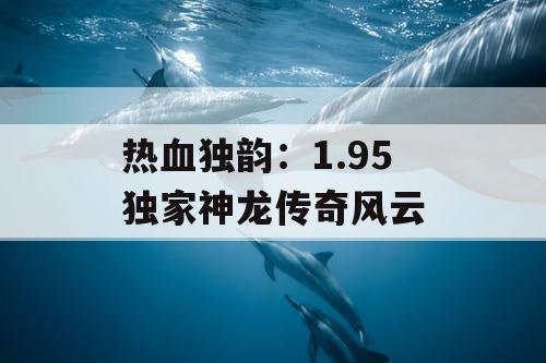 热血独韵：1.95 独家神龙传奇风云