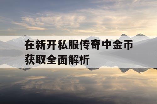 在新开私服传奇中金币获取全面解析