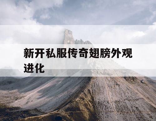 新开私服传奇翅膀外观进化