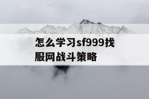 怎么学习sf999找服网战斗策略