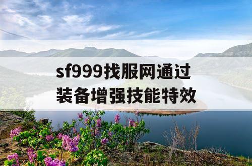 sf999找服网通过装备增强技能特效