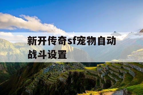 新开传奇sf宠物自动战斗设置